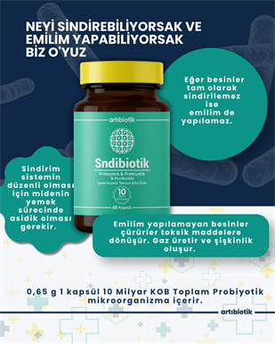 Artıbiotik Sndibiotik (60 Kapsül) 