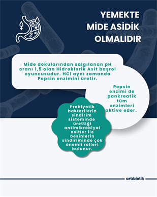 Artıbiotik Sndibiotik (60 Kapsül) 