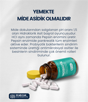 Artıbiotik Sndibiotik (60 Kapsül) 