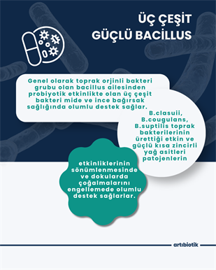 Artıbiotik Triobiotik(60 Kapsül)