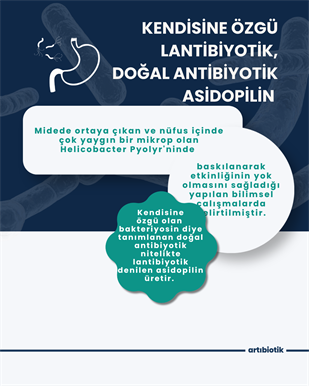 Artıbiotik Yobiotik(60Kapsül)