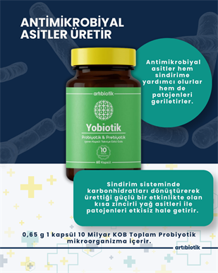 Artıbiotik Yobiotik(60Kapsül)