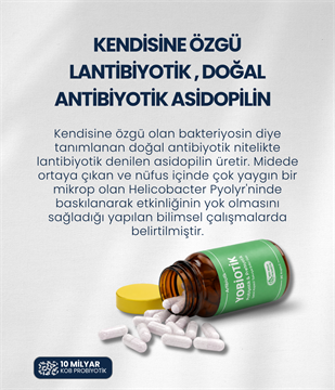 Artıbiotik Yobiotik(60Kapsül)