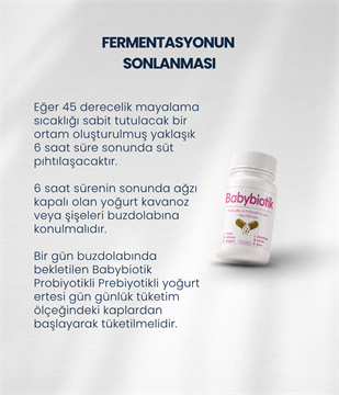 Babybiotik Yoğurt Mayası 30 Kapsül