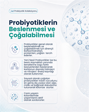 Bacillus clausii ( 40 Kapsül )