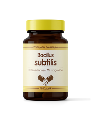 Bacillus subtilis ( 40 Kapsül )