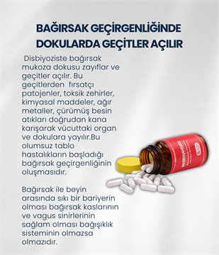 Bağırsak Bariyeri Probiyotik Seti