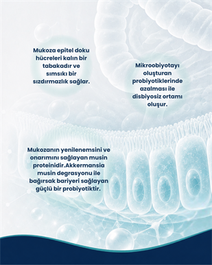 Bağırsak Bariyeri Probiyotik Seti