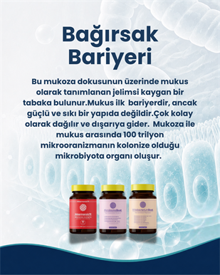 Bağırsak Bariyeri Probiyotik Seti