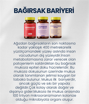 Bağırsak Bariyeri Probiyotik Seti
