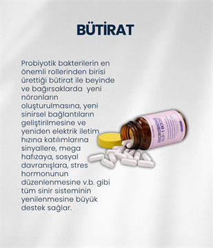 Bağırsak Beyin Bariyeri ve Sinir Sistemi Sağlığı Probiyotik Seti