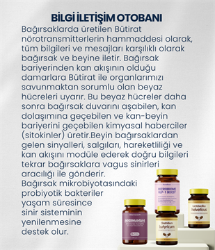 Bağırsak Beyin Bariyeri ve Sinir Sistemi Sağlığı Probiyotik Seti