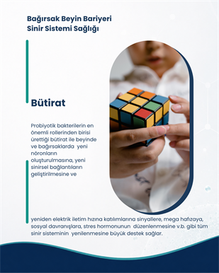 Bağırsak Beyin Bariyeri ve Sinir Sistemi Sağlığı Probiyotik Seti