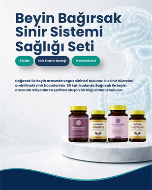 Bağırsak Beyin Bariyeri ve Sinir Sistemi Sağlığı Probiyotik Seti