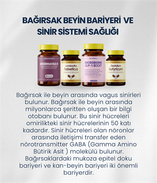 Bağırsak Beyin Bariyeri ve Sinir Sistemi Sağlığı Probiyotik Seti