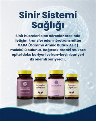 Bağırsak Beyin Bariyeri ve Sinir Sistemi Sağlığı Probiyotik Seti