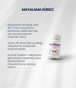 Bestbiotik Yoğurt Mayası (30 Kapsül)