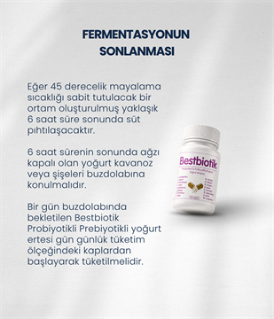 Bestbiotik Yoğurt Mayası (30 Kapsül)