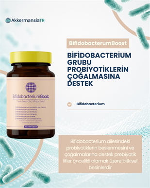 BifidobacteriumBoost 60 Kapsül