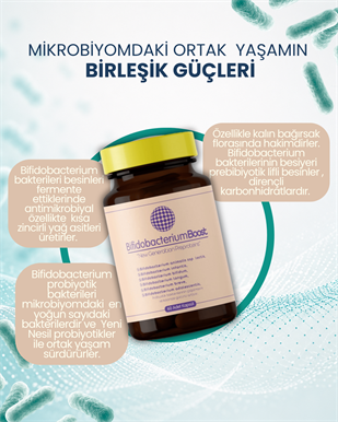 BifidobacteriumBoost 60 Kapsül