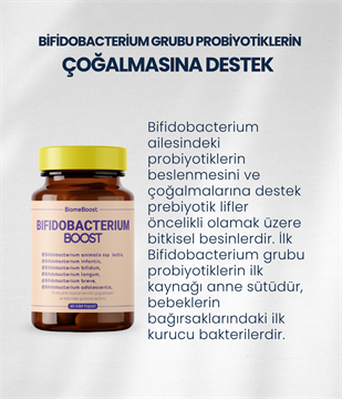 BifidobacteriumBoost 60 Kapsül