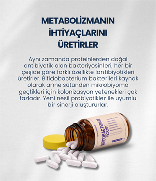 BifidobacteriumBoost 60 Kapsül
