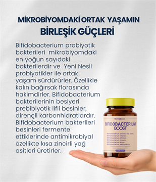 BifidobacteriumBoost 60 Kapsül