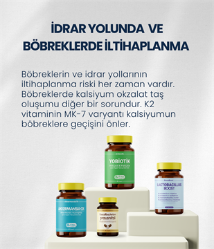Böbrek Sağlığı Probiyotik Seti