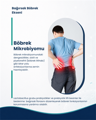 Böbrek Sağlığı Probiyotik Seti