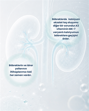 Böbrek Sağlığı Probiyotik Seti