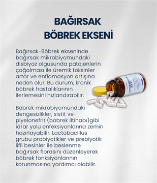 Böbrek Sağlığı Probiyotik Seti