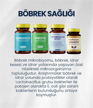 Böbrek Sağlığı Probiyotik Seti