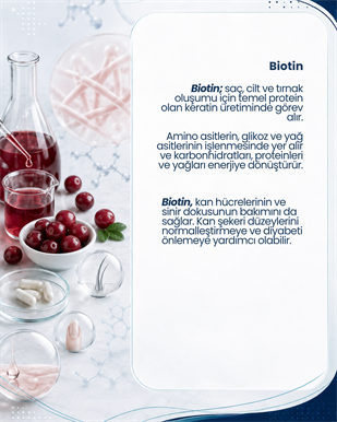 CollagenPrelife (30 Kapsül)