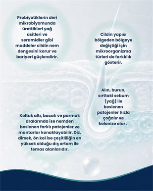 Deri ve Cilt Sağlığı Probiyotik Seti
