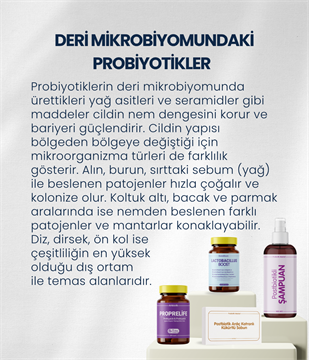 Deri ve Cilt Sağlığı Probiyotik Seti