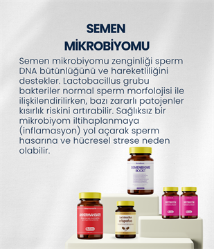 Erkek Sağlığı Probiyotik Seti