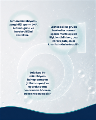 Erkek Sağlığı Probiyotik Seti