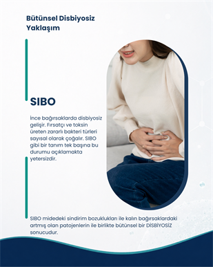 İnce Bağırsak Probiyotik Seti