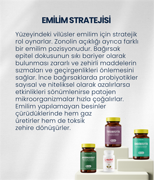 İnce Bağırsak Probiyotik Seti