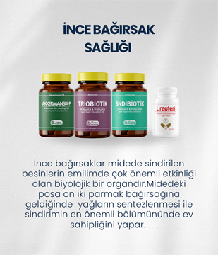 İnce Bağırsak Probiyotik Seti