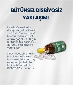 İnce Bağırsak Probiyotik Seti