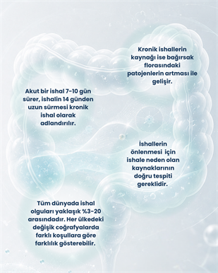 Kalın Bağırsak Sağlığı Probiyotik Seti 2