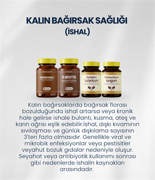 Kalın Bağırsak Sağlığı Probiyotik Seti 2