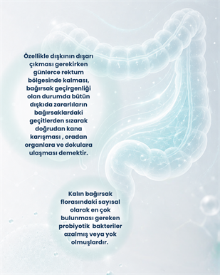 Kalın Bağırsak Sağlığı Probiyotik Seti 1 