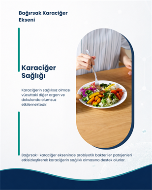 Karaciğer Sağlığı Probiyotik Seti