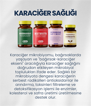 Karaciğer Sağlığı Probiyotik Seti