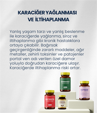 Karaciğer Sağlığı Probiyotik Seti