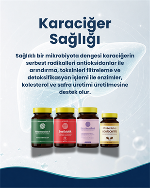 Karaciğer Sağlığı Probiyotik Seti