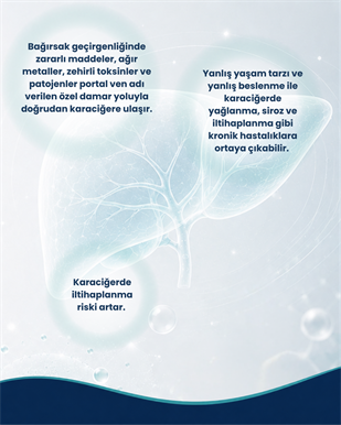 Karaciğer Sağlığı Probiyotik Seti