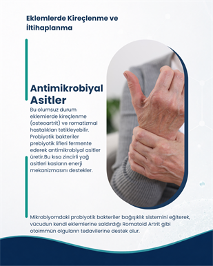 Kas,Eklem ve Kemik Sağlığı Probiyotik Seti